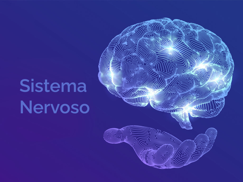 Como melhorar a sua saúde do sistema nervoso